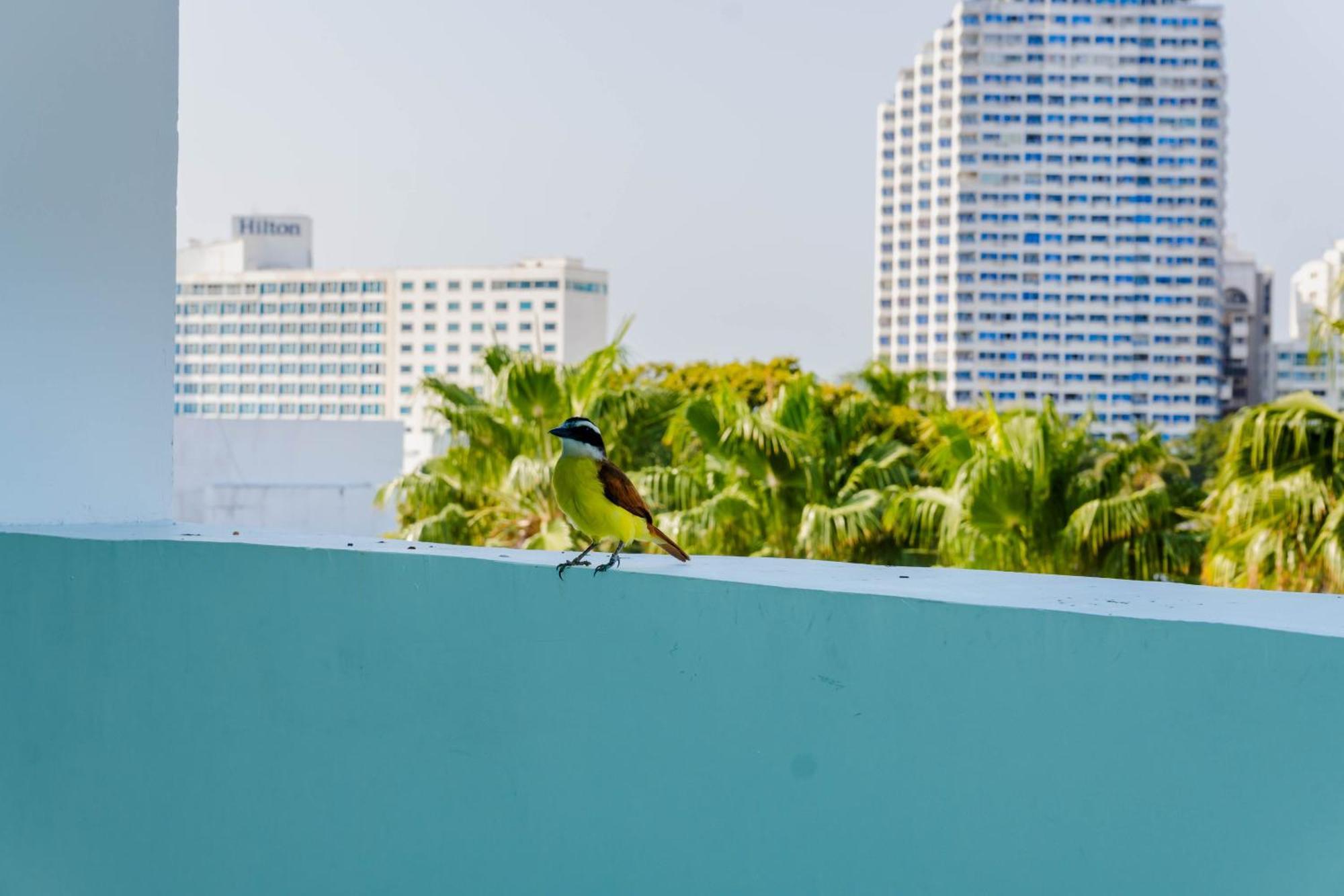 Hotel Coral Reef Cartagena  Exterior foto